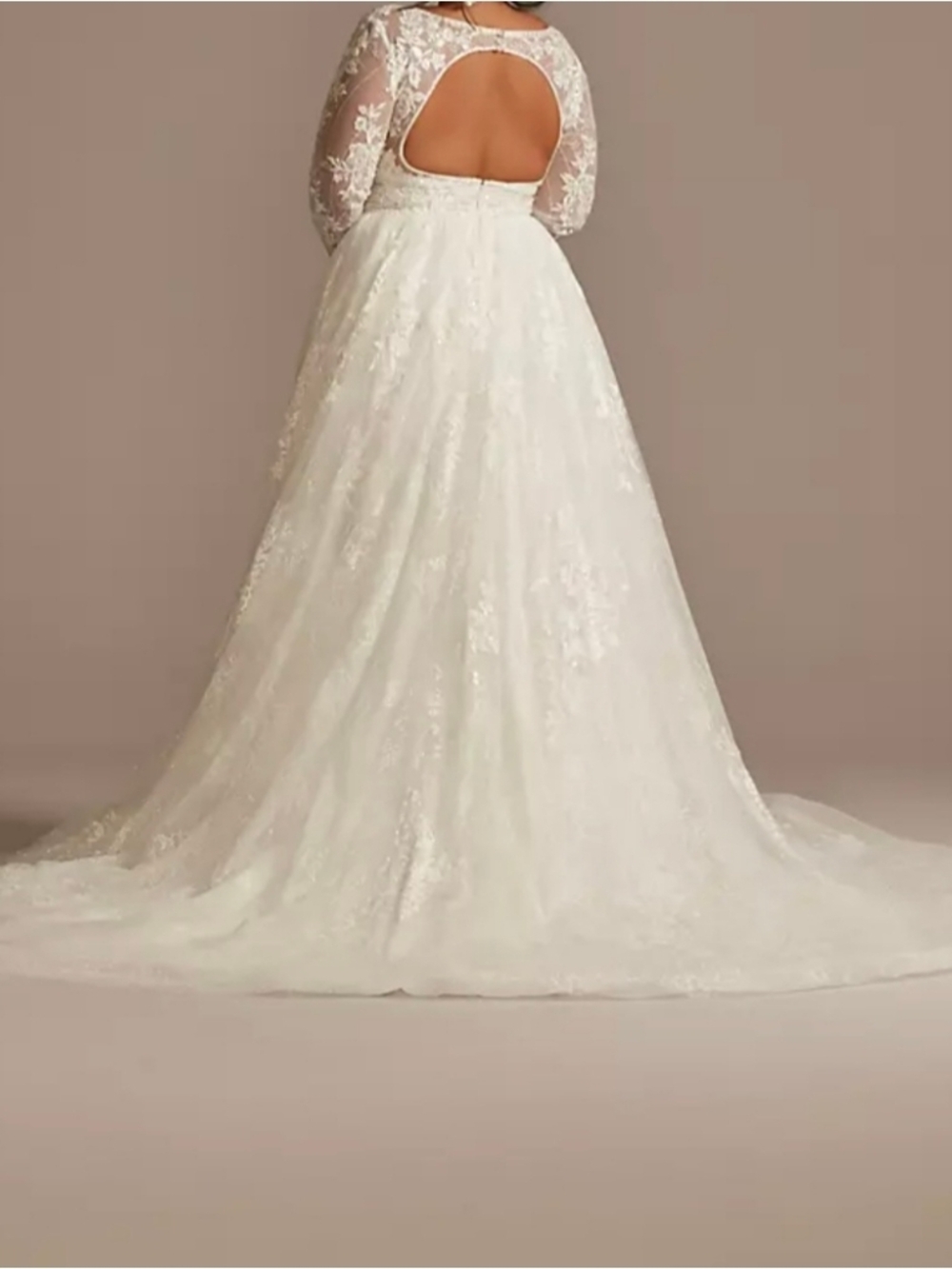 David's Bridal Ivory Lace Long Sleeve Open Back Gown